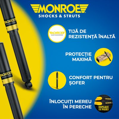 Avantajele amortizoarelor Monroe Van-Magnum